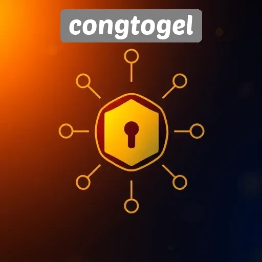 Analisis Sistem Keamanan yang Diterapkan oleh Congtogel